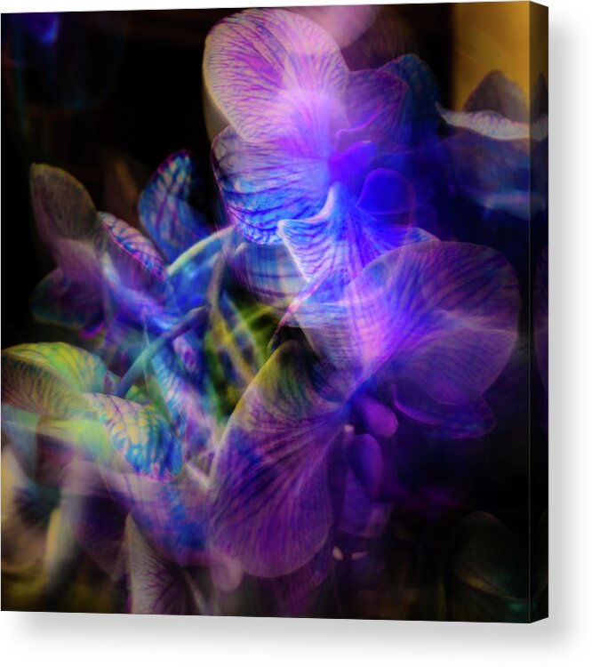 Camera Motion Acrylic Print featuring the photograph Modern Blues by Stewart Helberg