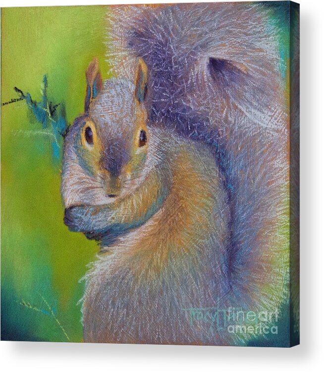 Squirrel Acrylic Print featuring the pastel Moe by Tracy L Teeter