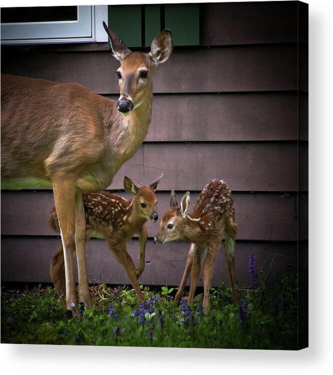 Mom's Treasures Acrylic Print featuring the photograph Mom's Treasures by David Patterson