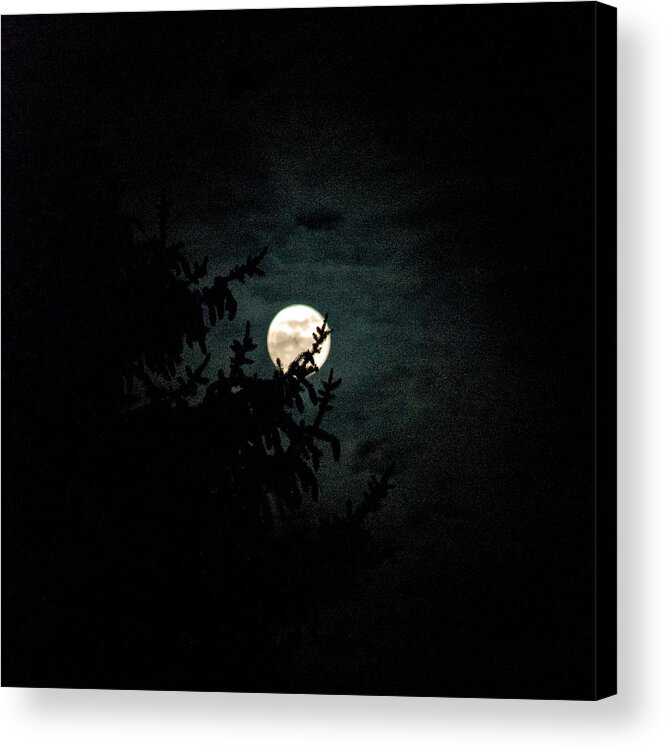  Acrylic Print featuring the photograph Moonlight by Carol Eliassen