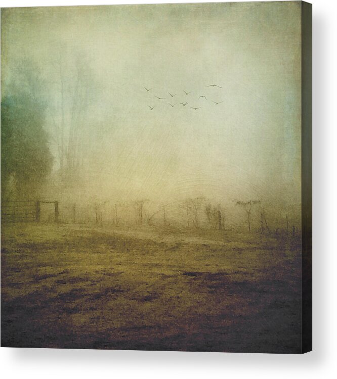 Photography Acrylic Print featuring the photograph Morning Flight In Fog by Melissa D Johnston
