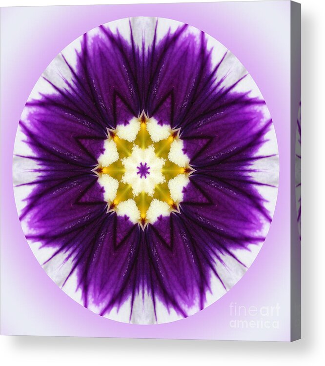 Flower Acrylic Print featuring the digital art New Flower by Kathy Strauss