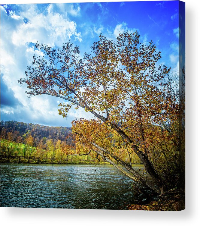 Landscape Acrylic Print featuring the photograph New River in Fall by Joe Shrader