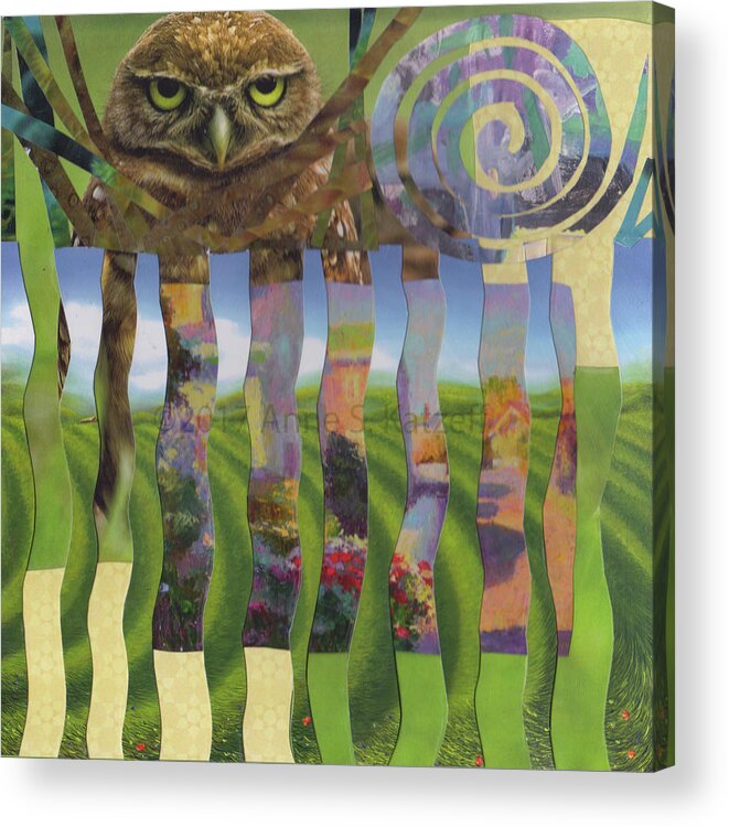 Owls Acrylic Print featuring the mixed media New Traditions by Anne Katzeff