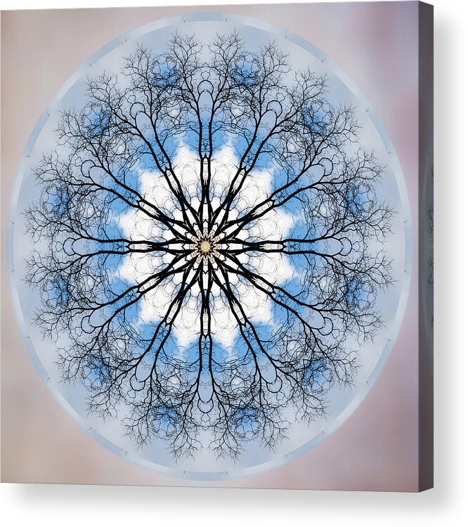 Circle Acrylic Print featuring the photograph New Year Mandala - by Julie Weber