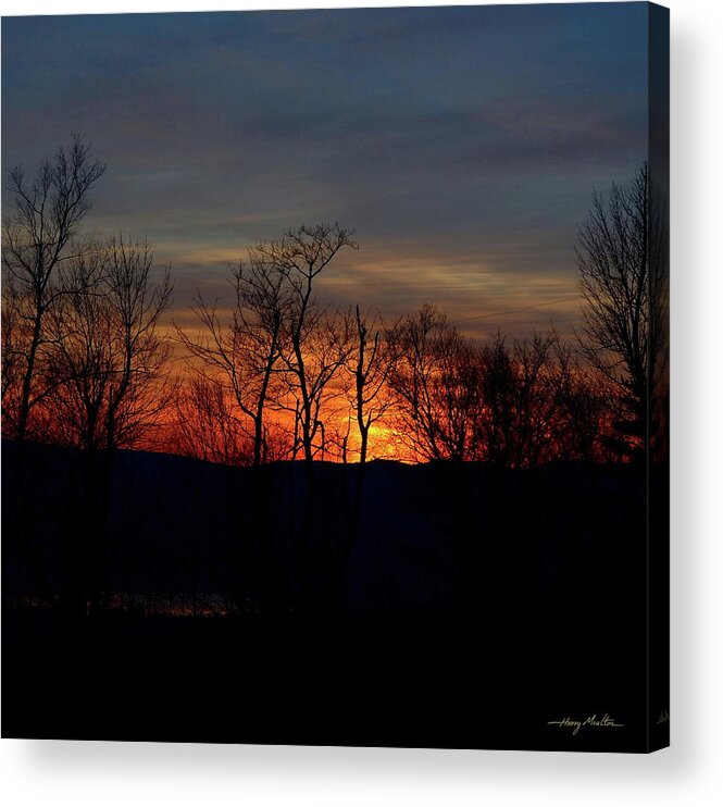 Sunset Acrylic Print featuring the photograph November Trees by Harry Moulton