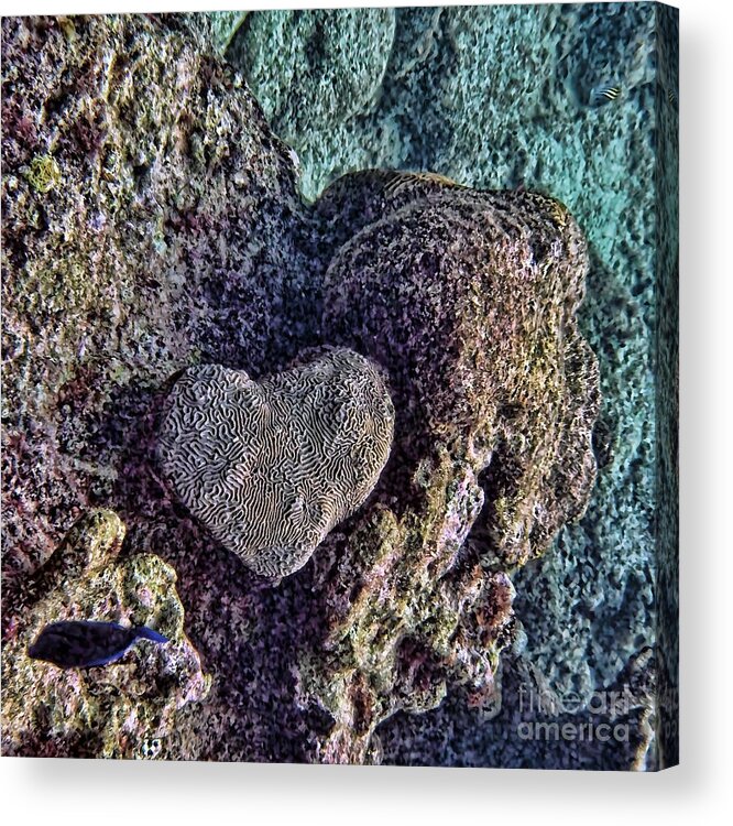 Heart Acrylic Print featuring the photograph Ocean love by Peggy Hughes