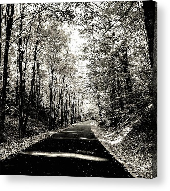  Acrylic Print featuring the photograph October Grayscale by Kendall McKernon