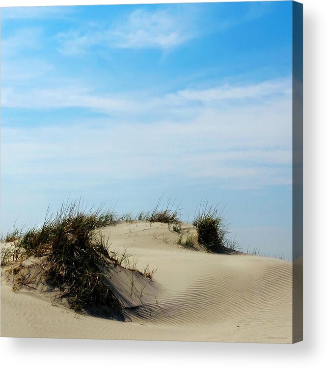 On The Dunes Acrylic Print featuring the photograph On The Dunes by Dark Whimsy