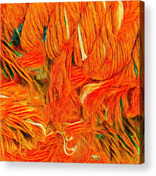 Colette Acrylic Print featuring the photograph Orange Art by Colette V Hera Guggenheim