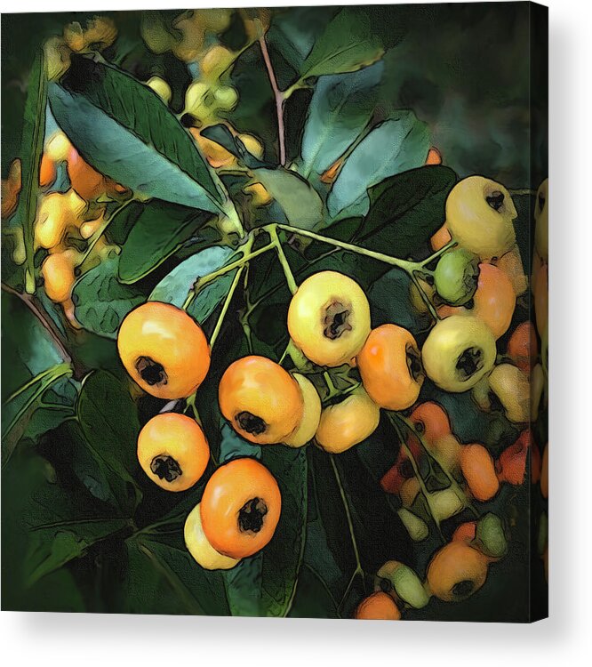 Tree Acrylic Print featuring the digital art Orange Glow by Gina Harrison