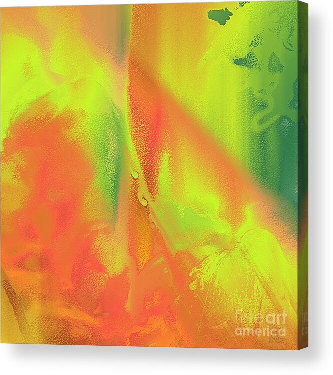 Ebsq Acrylic Print featuring the digital art Orange Lime Green Abstract by Dee Flouton