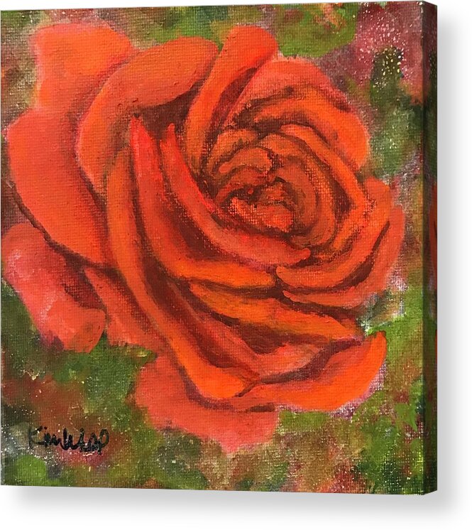 Orange Acrylic Print featuring the painting Orange Rose by Kim Wall