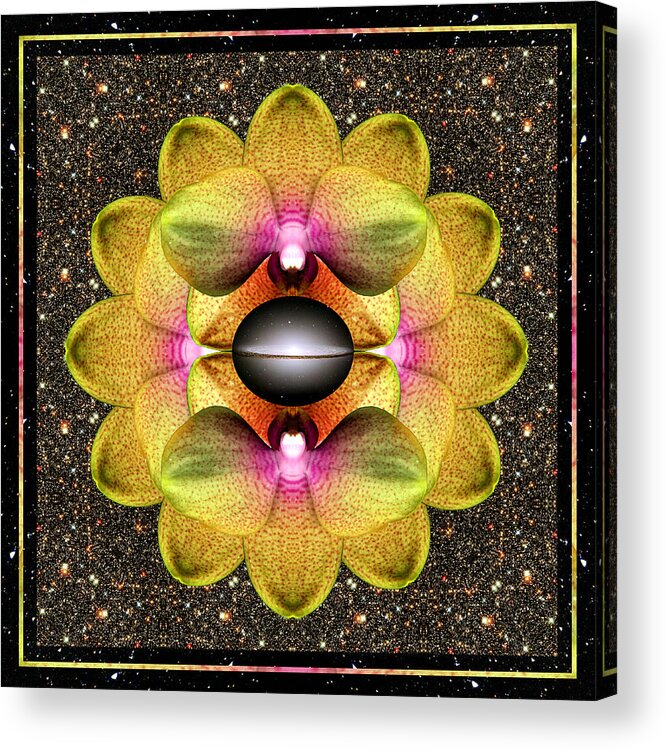 Yoga Art Acrylic Print featuring the photograph Origin Point by Bell And Todd