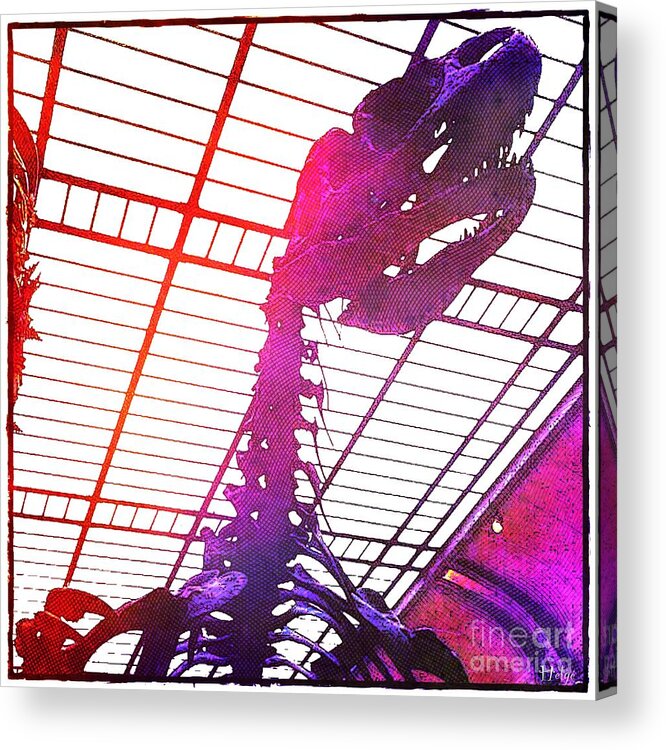 Tyrannosaurus Acrylic Print featuring the photograph Paleo Rex by HELGE Art Gallery