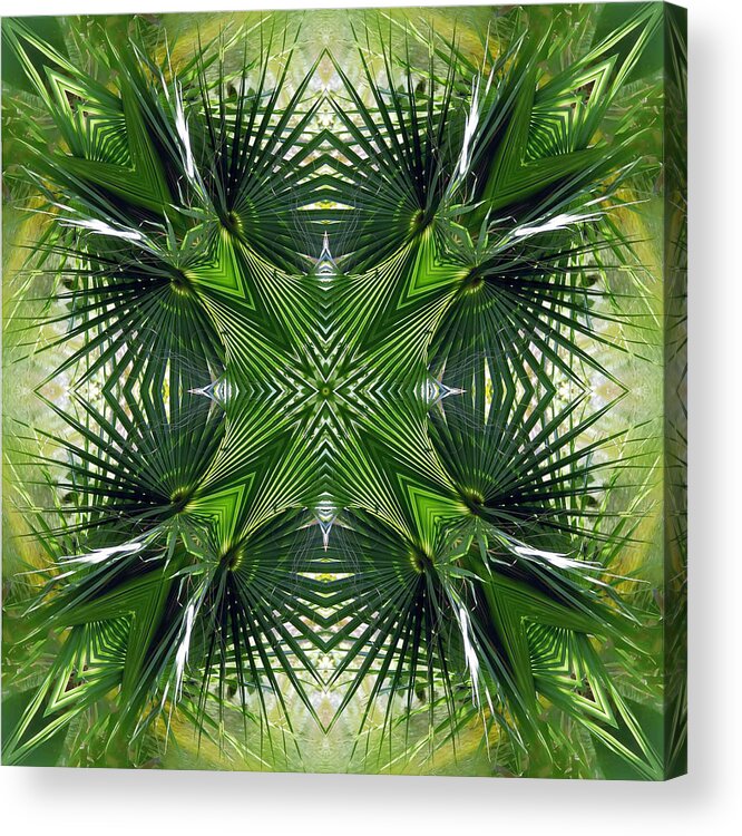 Palm Frond Fractured Kaleidoscope Design Pattern Leaf Tree Tropical Pieced Green Acrylic Print featuring the photograph Palm Frond Kaleidoscope by Frances Miller