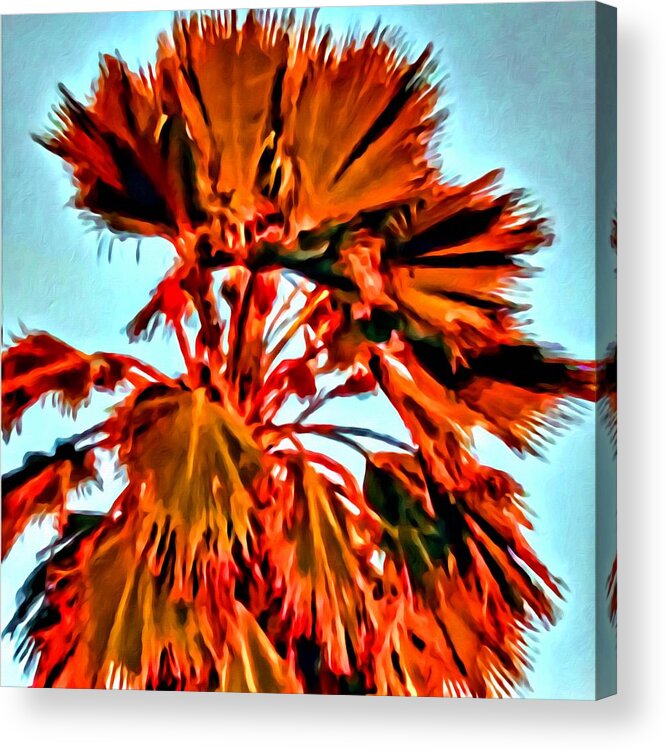 Palm Acrylic Print featuring the painting Palm by Lelia DeMello
