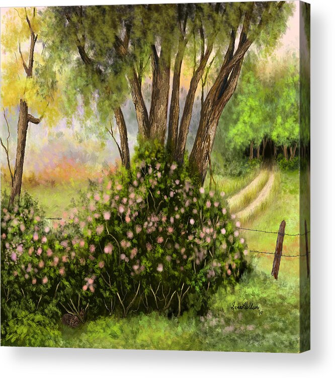 Landscape Acrylic Print featuring the painting Patches of Beauty by Sena Wilson