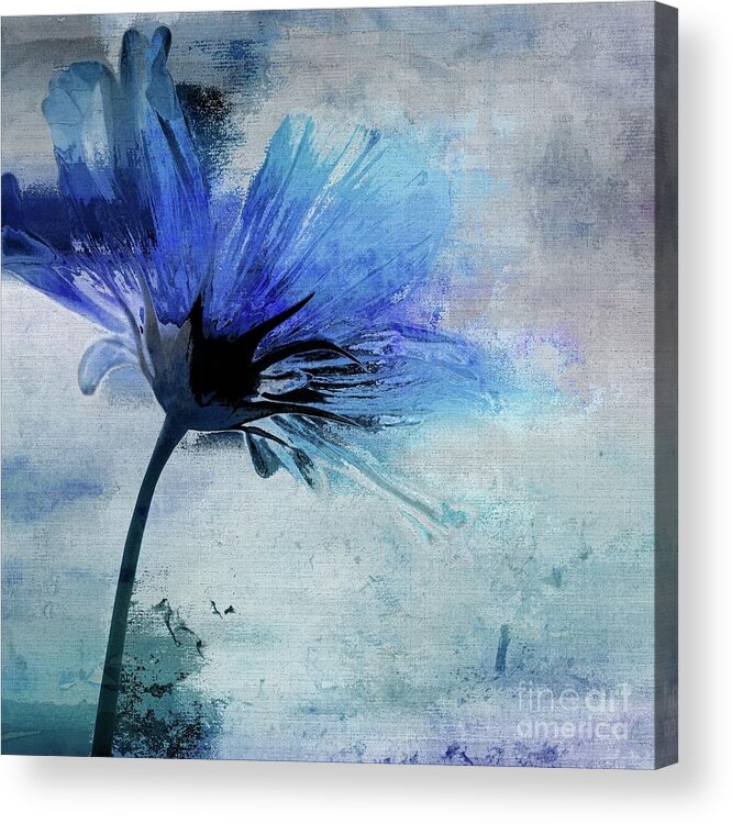''blue Flower'' Acrylic Print featuring the digital art Petalia - 07jlc30b by Variance Collections