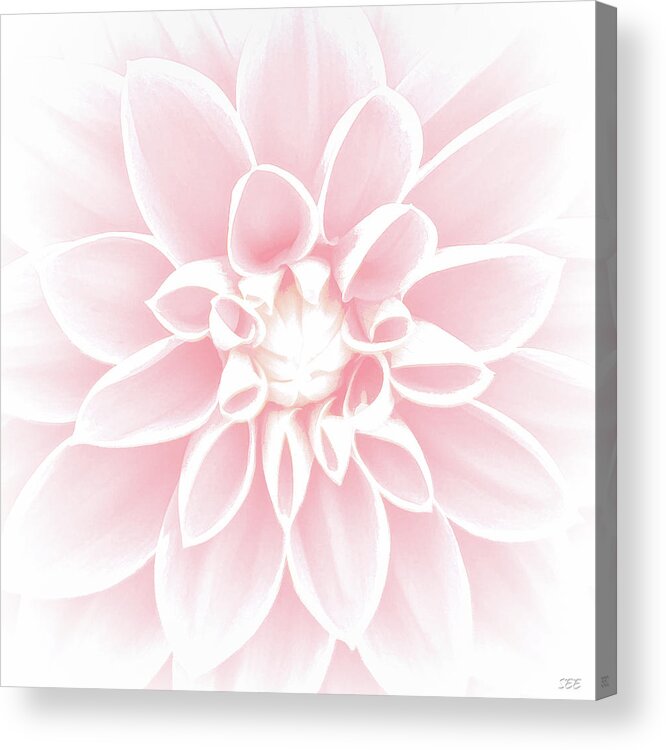 Flowers Acrylic Print featuring the photograph Pink Dahlia by Susan Eileen Evans