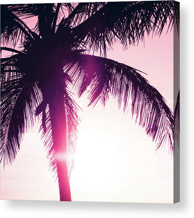 Pink Acrylic Print featuring the photograph Pink Palm Tree Silhouettes Kihei Tropical Nights by Sharon Mau