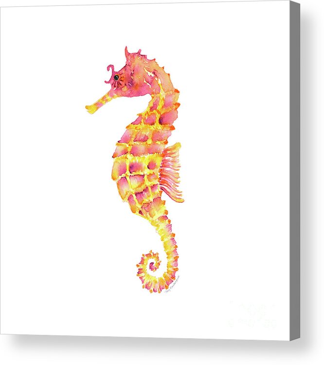 Seahorse Painting Acrylic Print featuring the painting Pink Yellow Seahorse - Square by Amy Kirkpatrick