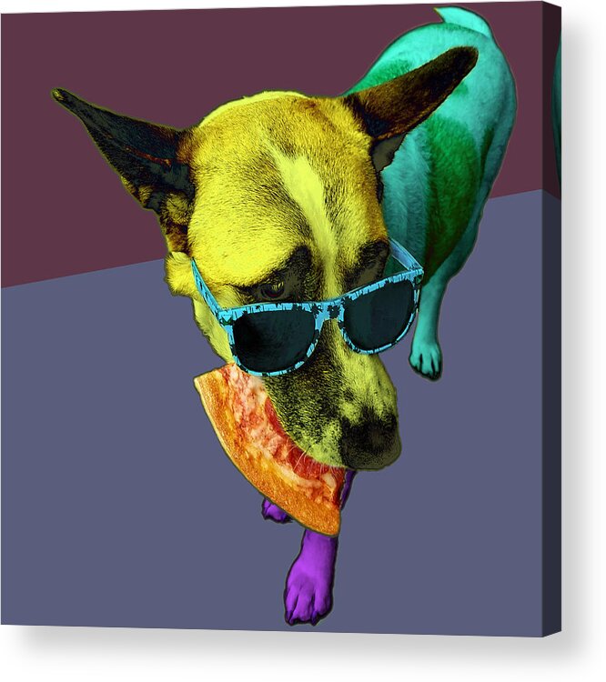 Pizza Acrylic Print featuring the digital art Pizza Dog by James W Johnson