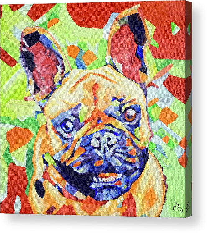 french bulldog acrylic painting