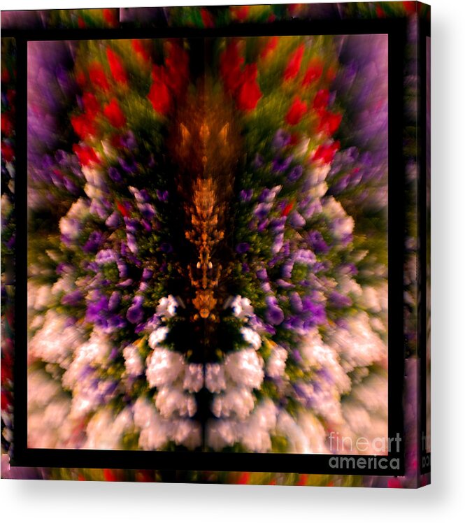 Flowers Acrylic Print featuring the photograph Popping Flowers by Madeline Ellis