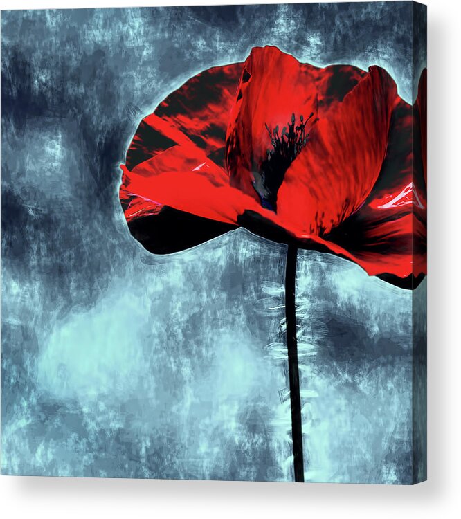Poppy Acrylic Print featuring the digital art Poppy on Blue by Carl H Payne