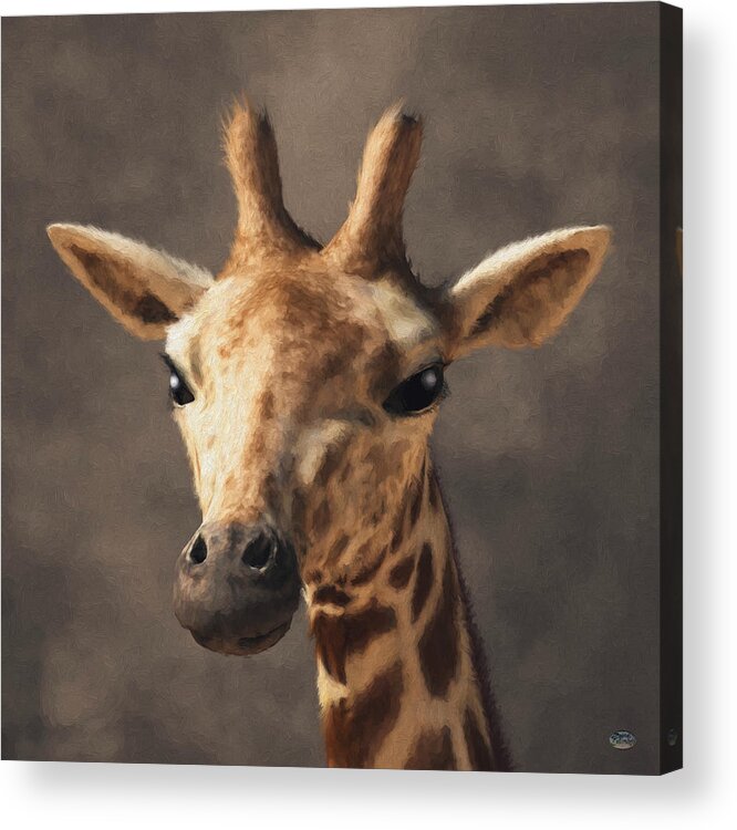 Giraffe Head Acrylic Print featuring the digital art Portrait of a Giraffe by Daniel Eskridge