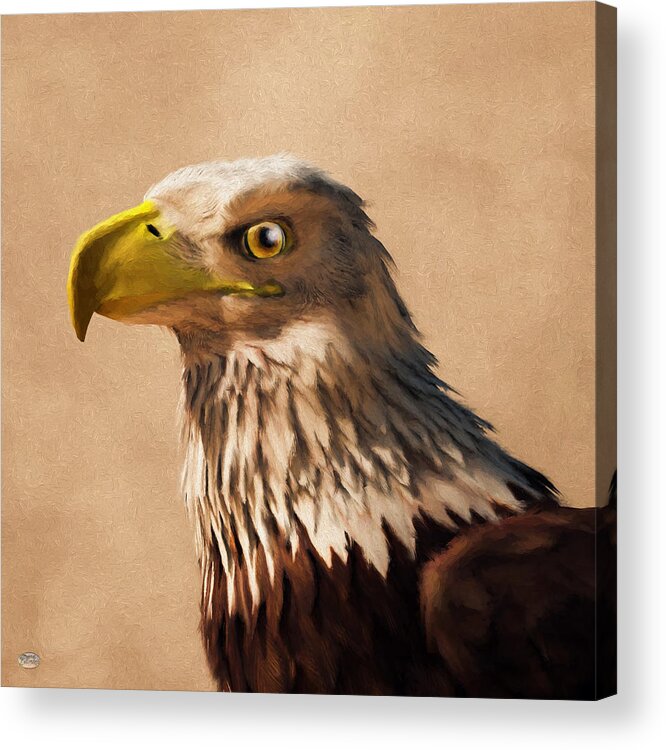 Eagle Head Acrylic Print featuring the digital art Portrait of an Eagle by Daniel Eskridge