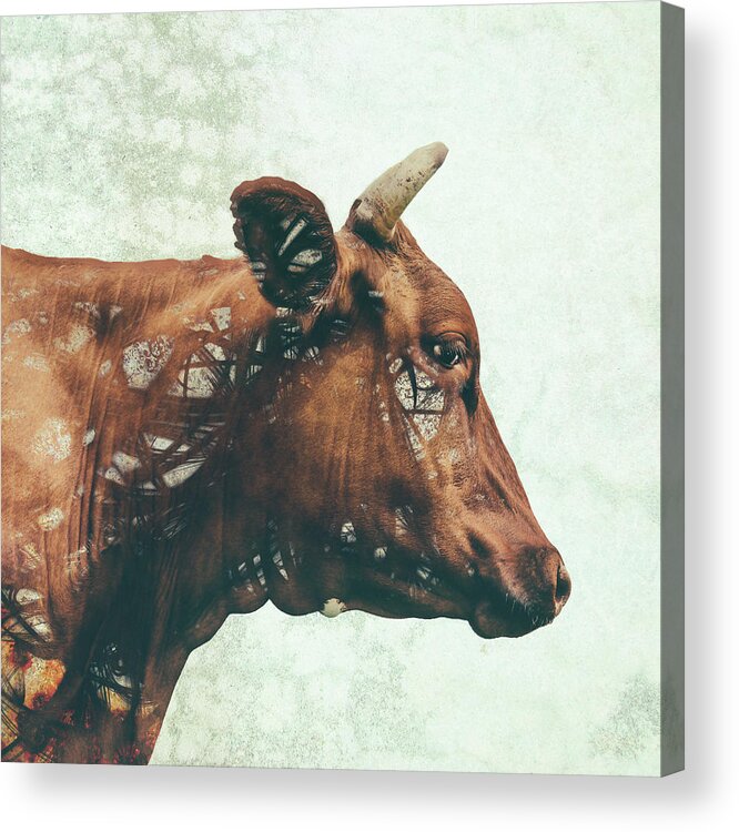 Cow Wildlife Animal Abstract Friend Acrylic Print featuring the digital art Portrait of Bess by Katherine Smit