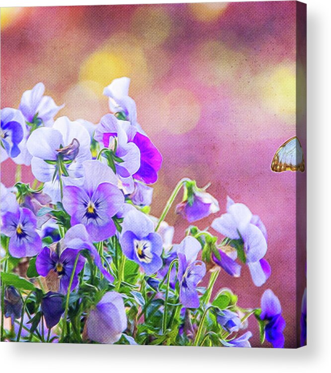 Pansies Acrylic Print featuring the photograph Pretty Pansies by Cathy Kovarik