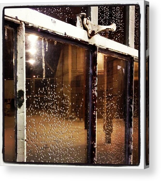  Acrylic Print featuring the photograph Pretty, Sparkly Window At Derby by Briana Bell