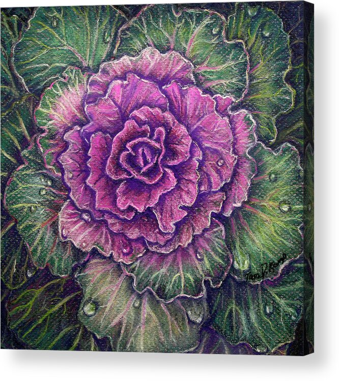 Pastel Acrylic Print featuring the pastel Purple Cabbage by Tara D Kemp