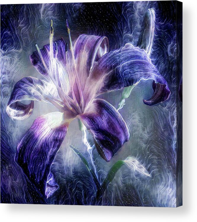 Purple Acrylic Print featuring the mixed media Purple Lily flower by Lilia D