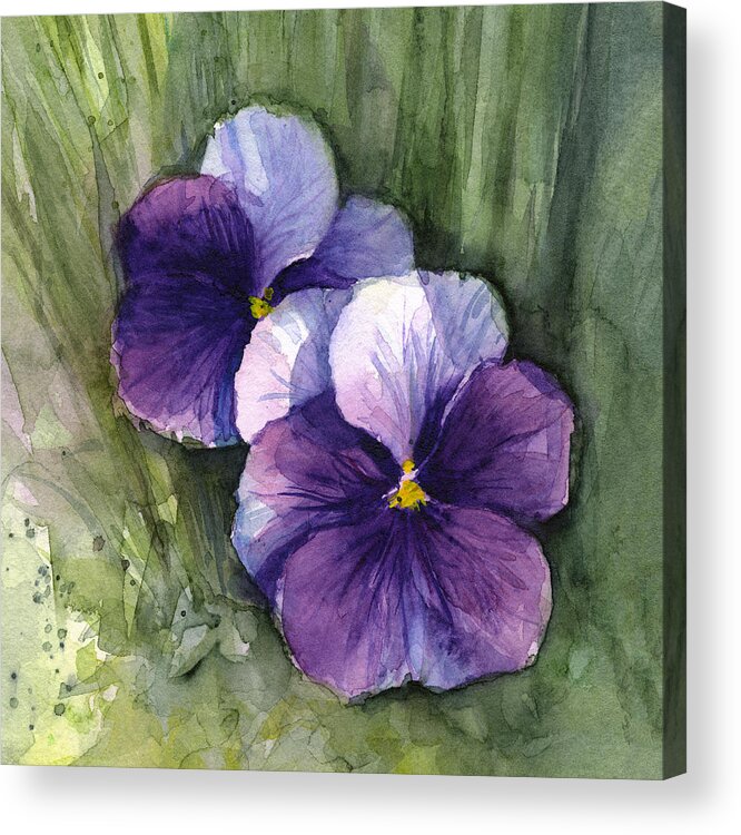 Pansy Acrylic Print featuring the painting Purple Pansies Watercolor by Olga Shvartsur