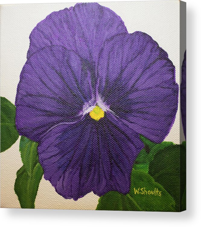 Pansy Acrylic Print featuring the painting Purple Pansy by Wendy Shoults