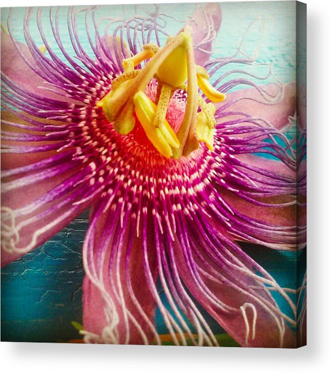 Flower Tropical Exotic Nature Beach Hues Art Acrylic Print featuring the photograph Purple Tropic by Alicia Berent