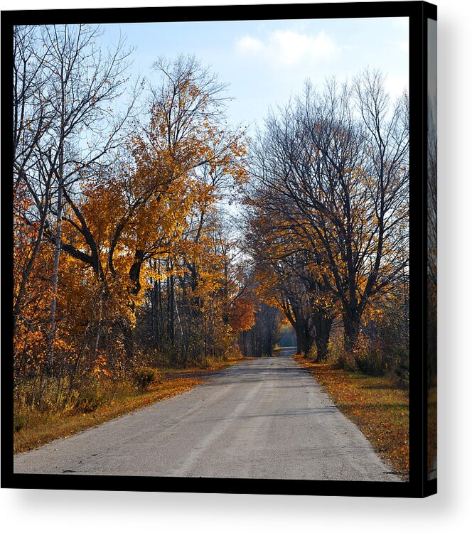 Road Acrylic Print featuring the photograph Quarterline Road by Tim Nyberg