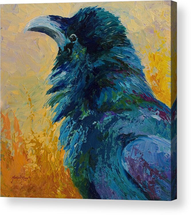 Crows Acrylic Print featuring the painting Raven Study by Marion Rose