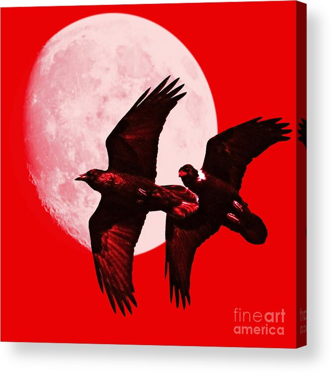 Red Acrylic Print featuring the photograph Ravens of the Moon . Red Square by Wingsdomain Art and Photography