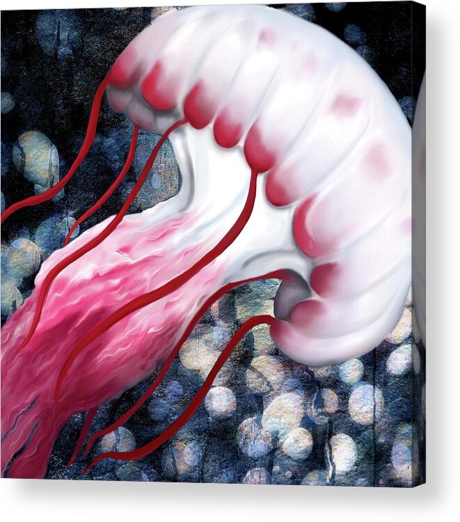 Jellyfish Acrylic Print featuring the digital art Red and White Jellyfish by Sand And Chi