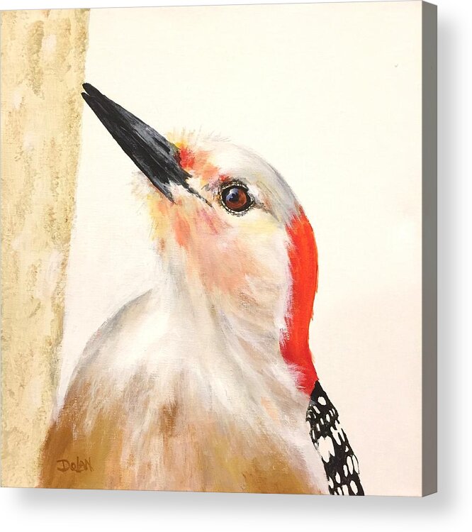 Red Breasted Woodpecker Acrylic Print featuring the painting Red Breasted Woodpecker by Pat Dolan