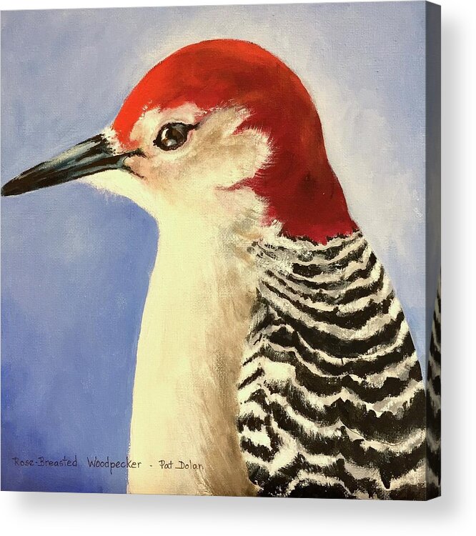 Red Breasted Woodpecker Acrylic Print featuring the painting Red Breasted Woodpecker two by Pat Dolan