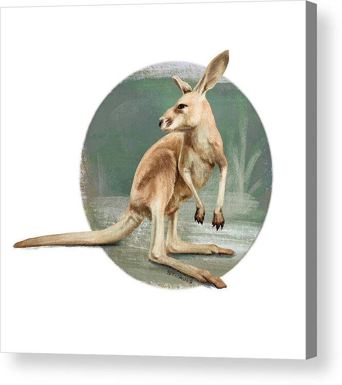 Animals Acrylic Print featuring the digital art Red Kangaroo by Simon Sturge