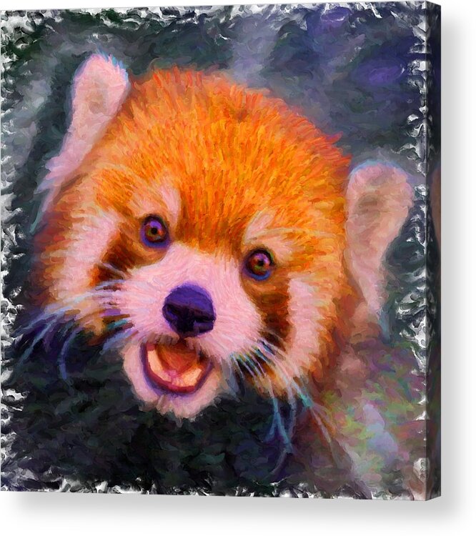 Red Panda Cub Acrylic Print featuring the digital art Red Panda Cub by Caito Junqueira