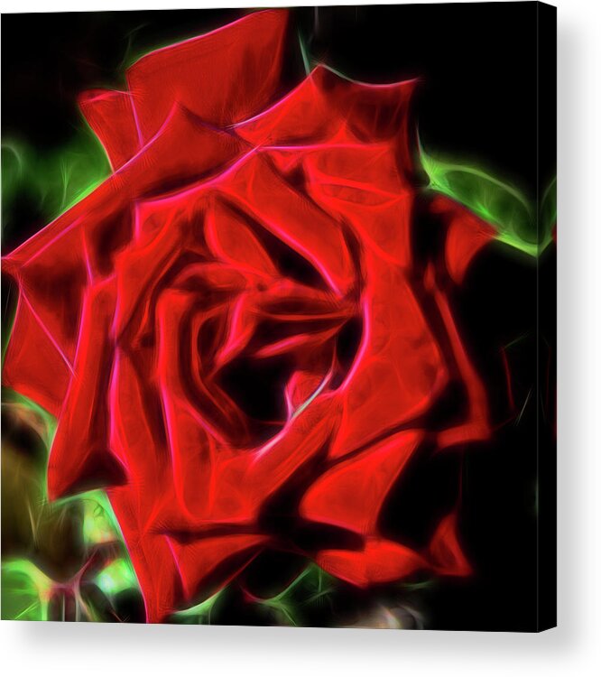 Red Rose Acrylic Print featuring the digital art Red Rose 1a by Walter Herrit