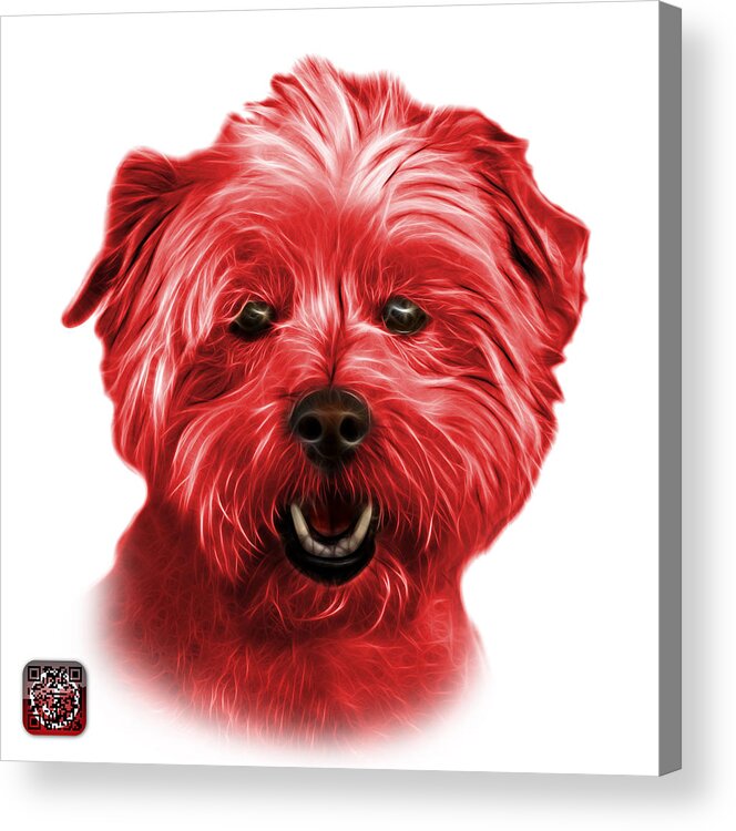 Westie Dog Acrylic Print featuring the mixed media Red West Highland Terrier Mix - 8674 - WB by James Ahn